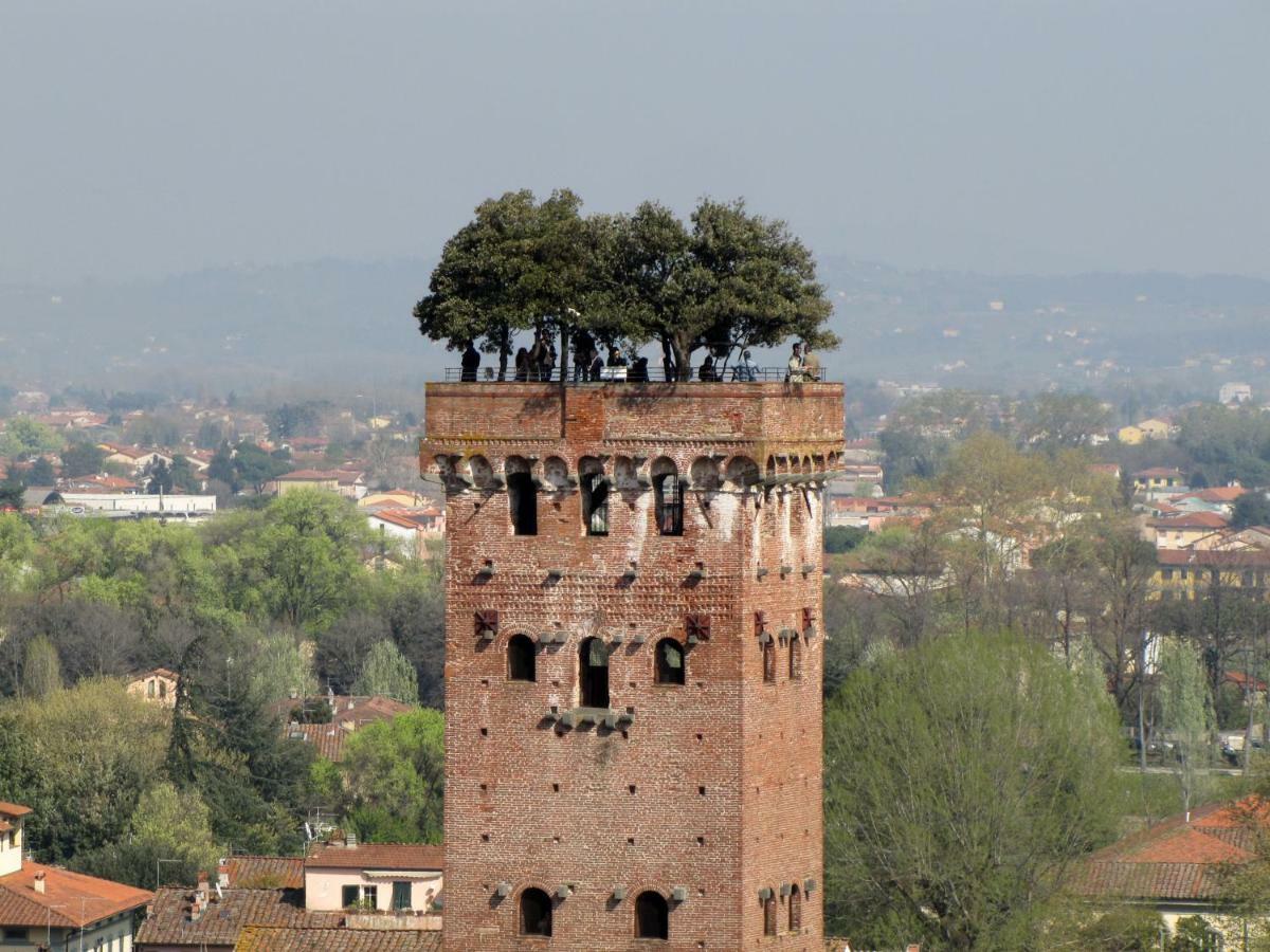 Shanty Home Lucca Bagian luar foto
