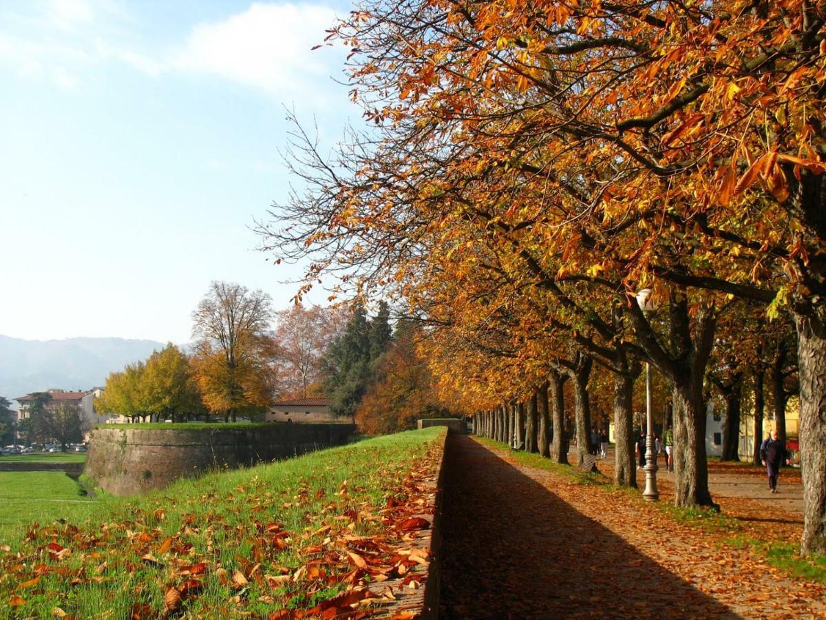 Shanty Home Lucca Bagian luar foto